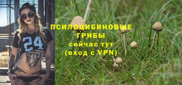 тгк Алзамай