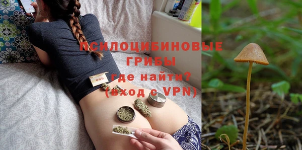 тгк Алзамай