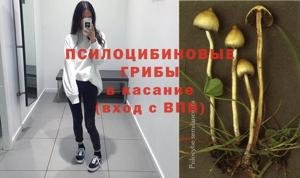 бутират Алексин