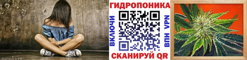 KRAKEN онион  Новотитаровская  Канабис Ganja  сколько стоит 